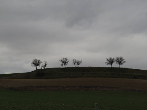 istock Trees in the little montain 1429719251