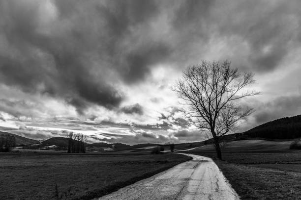 istock A curvy country road beneath a cloudy sky with a tree silhouette on the right 1429731168