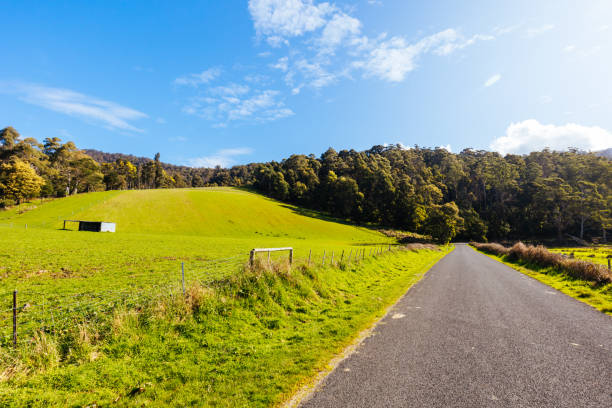 istock Pyengana Landscape in Tasmania Australia 1429732315