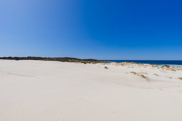 istock Peron Dunes in Akaroa Tasmania Australia 1429733210