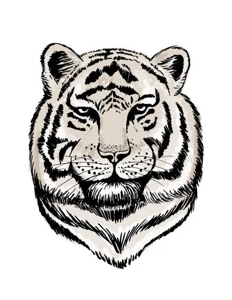 Vector illustration of White Tiger Head On A Transparent Background