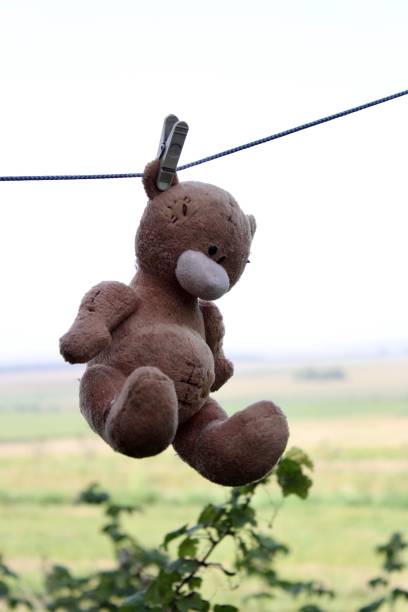 istock old toy plush brown bear drying clipped on a rope with a clothespin 1429738572