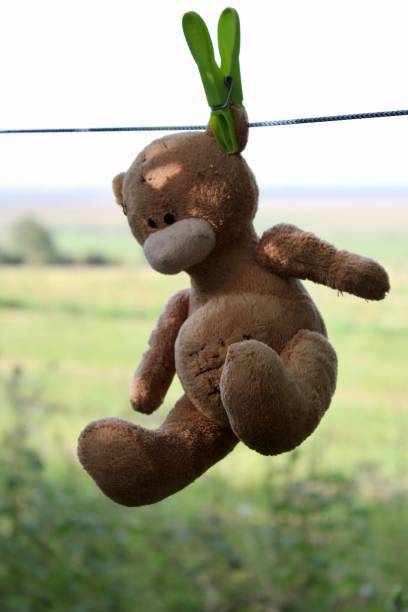 istock old toy plush brown bear drying clipped on a rope with a clothespin 1429738633