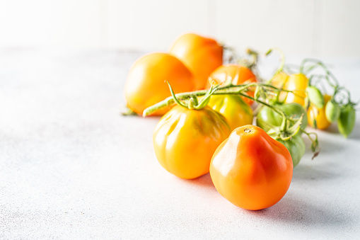 mix colorful tomatoes in summer day. Composition of variety fresh tomatoes. White background.