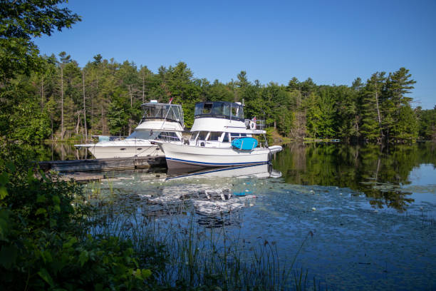 istock Two boats on a dock on a lake in Canada 1429747273