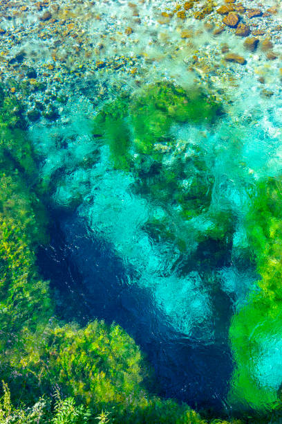 turquoise and green water in the spring water of the blue eye lake in Albania. stock photo