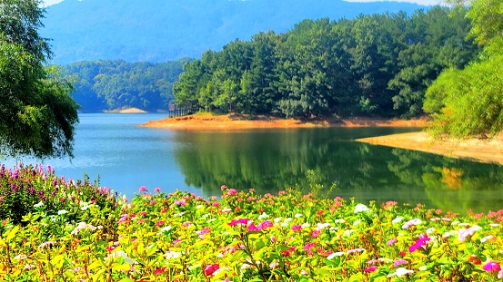 Daecheng Lake Sad Yanga scenery
