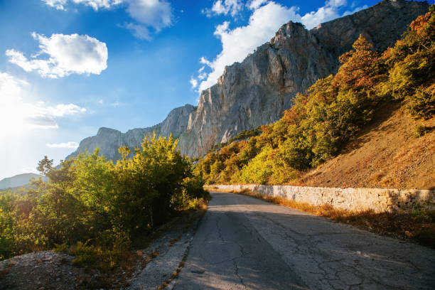 istock Country mountain road in the evening 1429757768