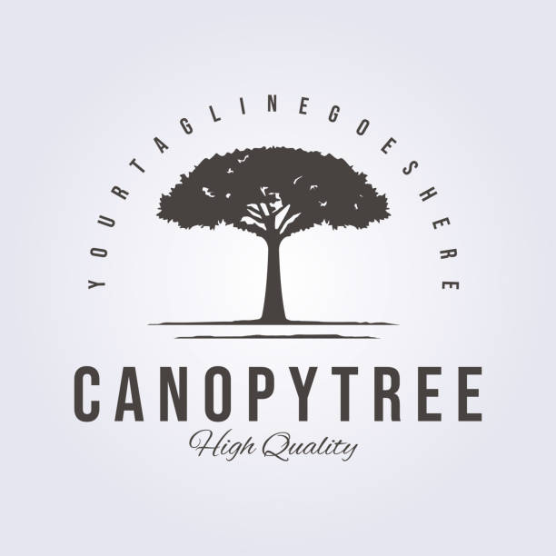 illustrations, cliparts, dessins animés et icônes de canopy tree service rétro style symbole vintage classique vectoriel design - treelined forest tree summer