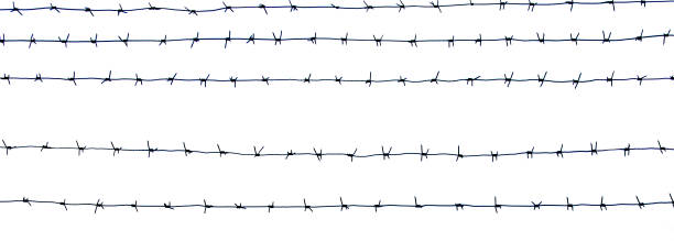 istock Barbed wire prison against the blue sky. 1429773381