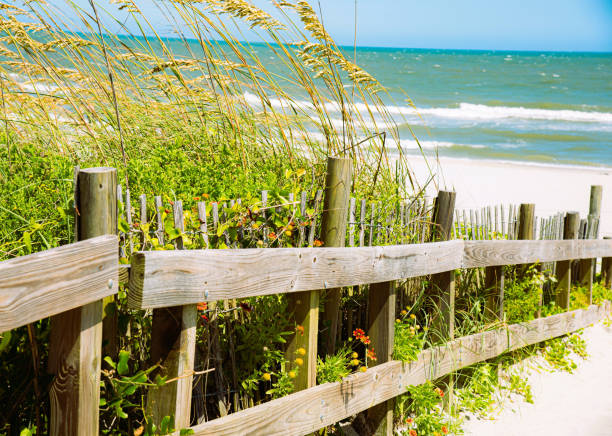 Beach View with Fencepost stock photo