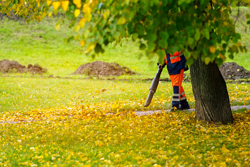 A worker in overalls blows leaves off the sidewalk using a special device
