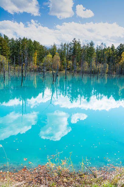 istock Autumn blue pond reflecting the blue sky 1429781969