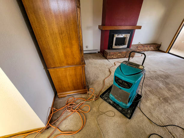 istock Dehumidifier in a large living room after a pipe break causing water damage 1429782819