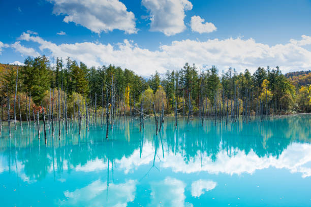 istock Autumn blue pond reflecting the blue sky 1429783332