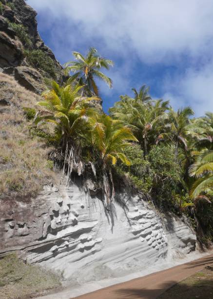 istock Unusual Rock Face on Pitcairn Island 1429787238