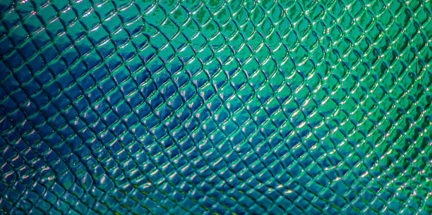 istock Blurred background. Holographic background. Crocodile skin. 1429792350