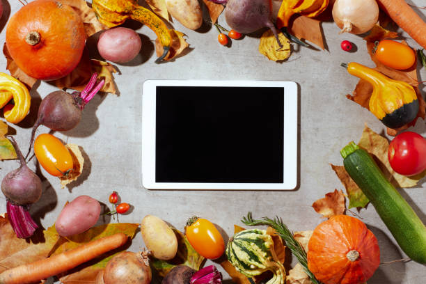 istock autumn flat lay on concrete background with pumpkins 1429827408