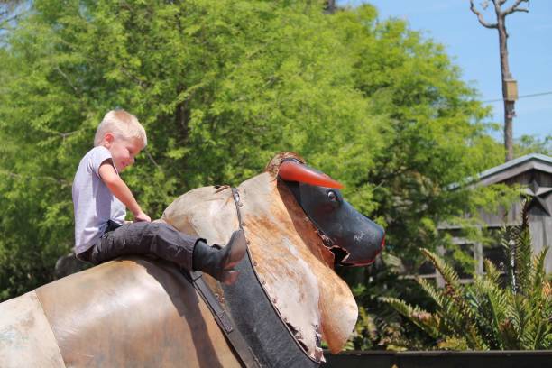 istock Young Boy Riding Mechanical Bull 1429840791