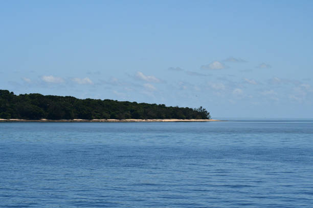 istock White sand and trees stretching into blue water. 1429847833