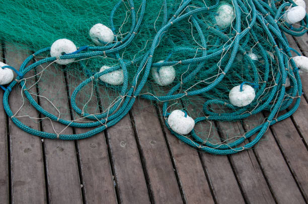 Fisherman hands on