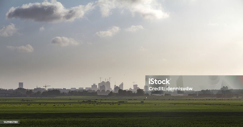 Skyline von Den Haag - Lizenzfrei Niederlande Stock-Foto