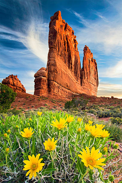 istock Court House Towers 142985786