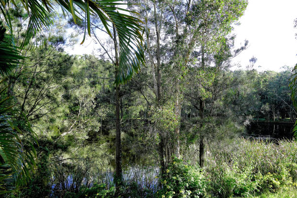 istock Manning Point, NSW, Australia 1429871709