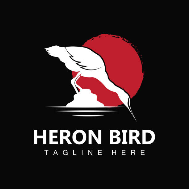 illustrazioni stock, clip art, cartoni animati e icone di tendenza di bird heron stork design, birds heron flying on the river vector, illustrazione del marchio del prodotto - heron night heron island water