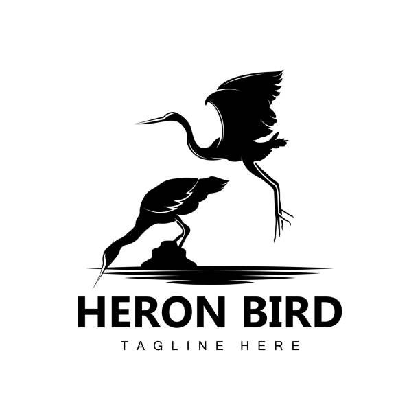 illustrazioni stock, clip art, cartoni animati e icone di tendenza di bird heron stork design, uccelli airone che vola sul vettore del fiume, illustrazione del marchio del prodotto - heron night heron island water