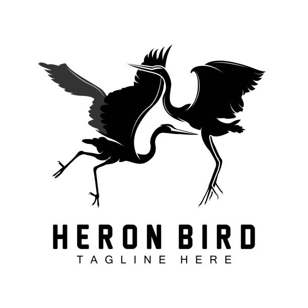 ilustrações, clipart, desenhos animados e ícones de bird heron stork design, birds heron flying on the river vector, product brand illustration - heron night heron island water