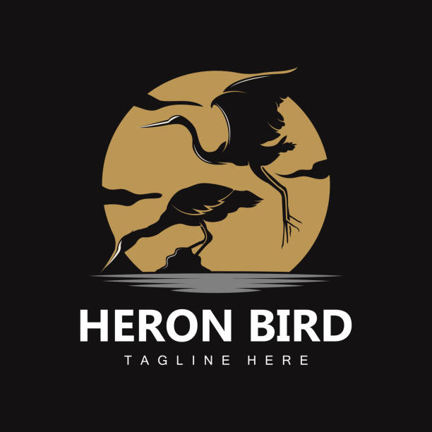 illustrazioni stock, clip art, cartoni animati e icone di tendenza di bird heron stork design, birds heron flying on the river vector, illustrazione del marchio del prodotto - heron night heron island water