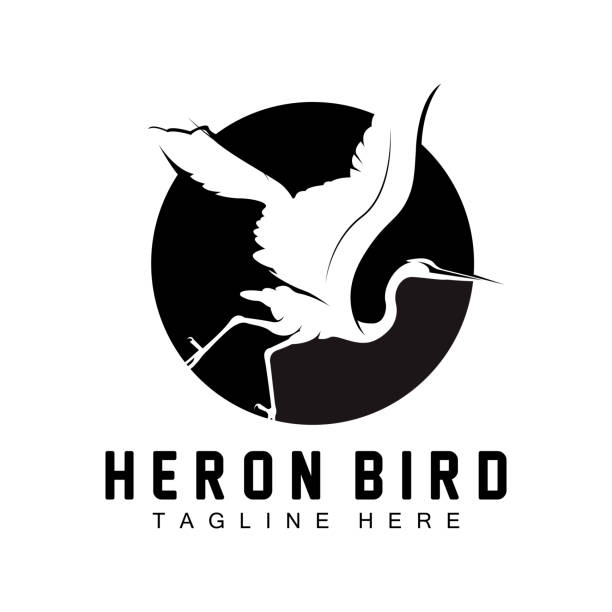 ilustrações, clipart, desenhos animados e ícones de bird heron stork design, birds heron flying on the river vector, product brand illustration - heron night heron island water
