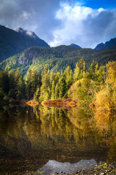 istock Colorful Reflections Of Autumn Colors 1429889533