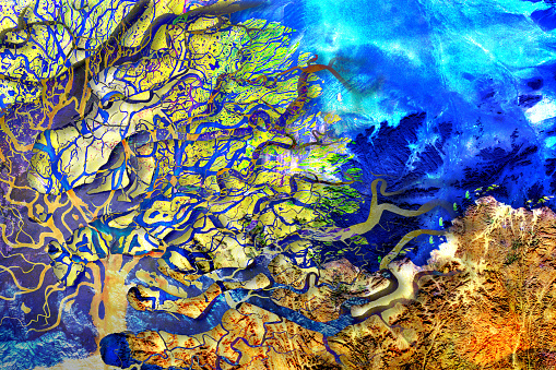 Collage river delta with interweaving and layering of several layers in the shape of a tree crown. Satellite view. Elements of this image furnished by NASA.

/!    NASA URLS:
https://www.nasa.gov/feature/goddard/2020/earthdayathome-with-nasa
(https://www.nasa.gov/sites/default/files/thumbnails/image/earthday2020instagram.jpg)
https://images.nasa.gov/details-sts087-707-092.html
https://earthobservatory.nasa.gov/images/144537/ancient-rocks-modern-dunes