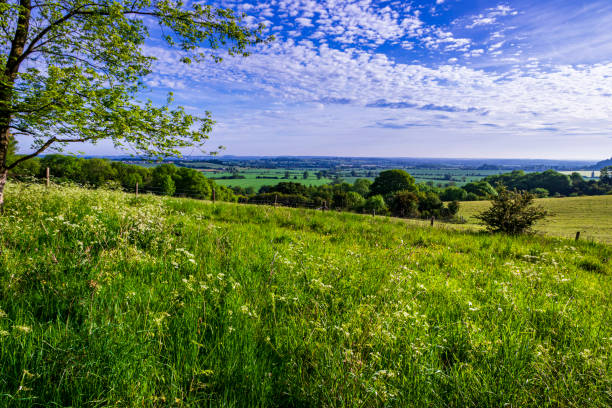 istock Sundon Hills Bedfordshire 1429897427