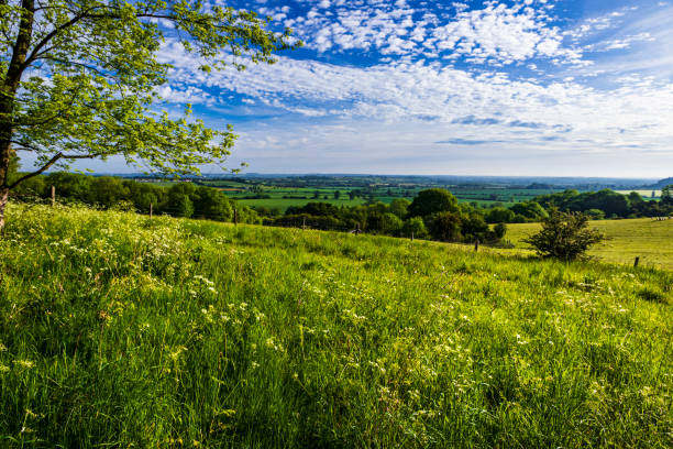 istock Sundon Hills Bedfordshire 1429897471