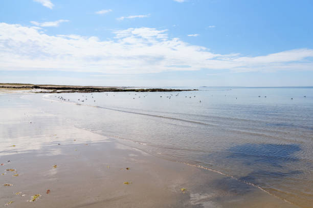istock Low tide in Plouhinec coast. 1429899610