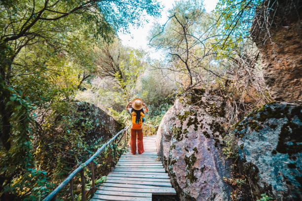 giovane ragazza viaggiatrice che guarda il paesaggio su un ponte nella valle di ihlara, valle di peristrema in turchia aksaray - ihlara valley foto e immagini stock