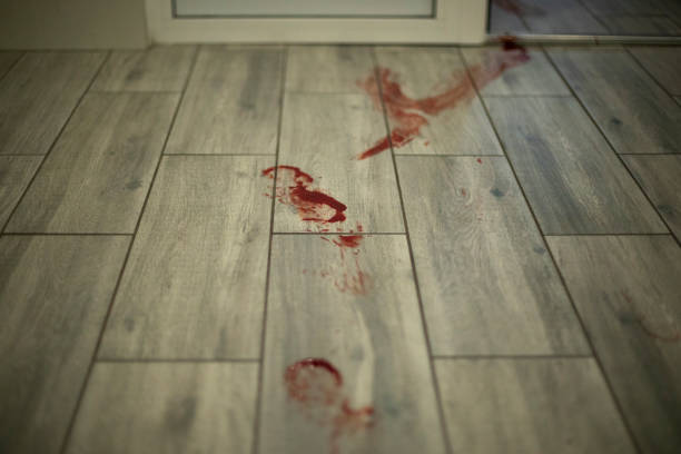 Bloody trail on floor. Blood in apartment. Red footprint on floor. stock photo