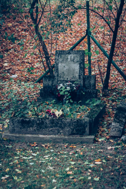 istock All Saints Day in the cemetery 1429905602