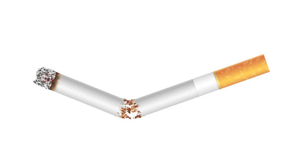 ilustrações de stock, clip art, desenhos animados e ícones de broken burning cigarette realistic. no smoking, tobacco addiction, cancer and bad behaviors - nicotine healthcare and medicine smoking issues lifestyles