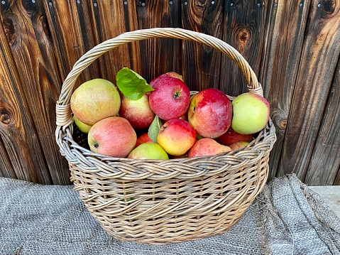 Woven basket full with ripe apples