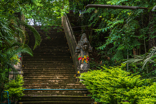 Wat Umong Suan Puthatham is a Buddhist temple in the historic centre and is a Buddhist temple is a major tourist attraction with green forest nature in Chiang Mai,Thailand.