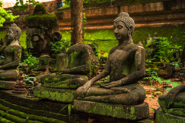 고대 부처님 인물 wat umong suan puthatham은 역사적인 중심지에있는 불교 사원이며 불교 사원으로 태국 치앙마이의 푸른 숲 자연을 가진 주요 관광 명소입니다. - thailand asia famous place stone 뉴스 사진 이미지