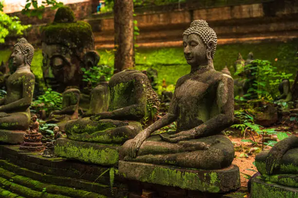 Photo of Ancient buddha figures Wat Umong Suan Puthatham is a Buddhist temple in the historic centre and is a Buddhist temple is a major tourist attraction with green forest nature in Chiang Mai,Thailand.