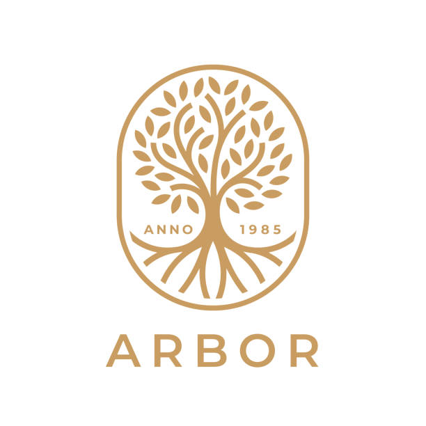 stockillustraties, clipart, cartoons en iconen met arbor tree of life icon - boom