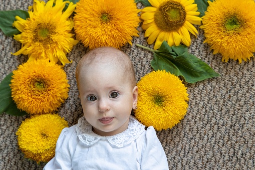 Portrait of a baby girl at nine months old. The child lies on the floor. Sunflowers lie around the baby.