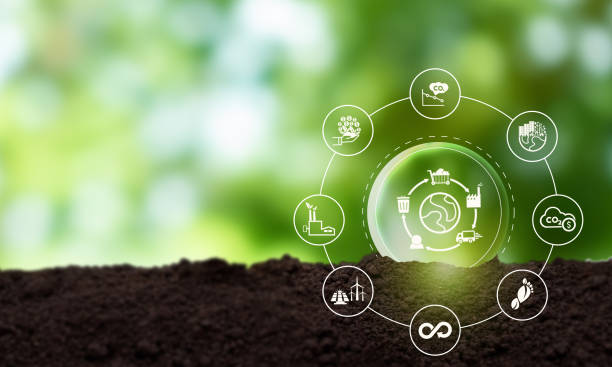 Business value chain and sustainability. LCA, Life cycle assessment . Positive environmental impact to value chain product. Carbon footprint reduction. ISO LCA standard aims to limit climate change. cadena de valor empresarial y sostenibilidad. acv, análisis del ciclo de vida. impacto ambiental positivo en el producto de la cadena de valor. reducción de la huella de carbono. la norma iso lca tiene como objetivo limitar el cambio climático.