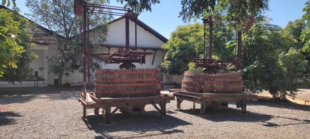 istock Pair of barrels 1429931297